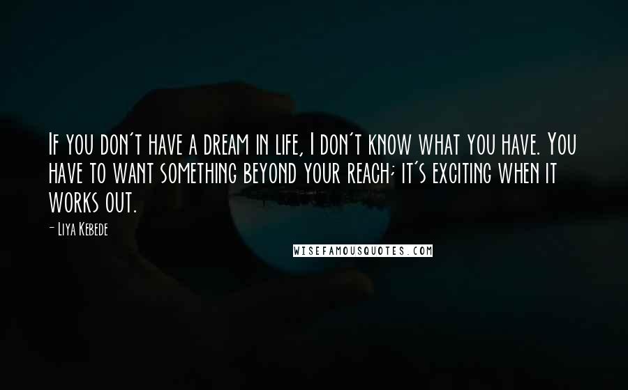 Liya Kebede quotes: If you don't have a dream in life, I don't know what you have. You have to want something beyond your reach; it's exciting when it works out.