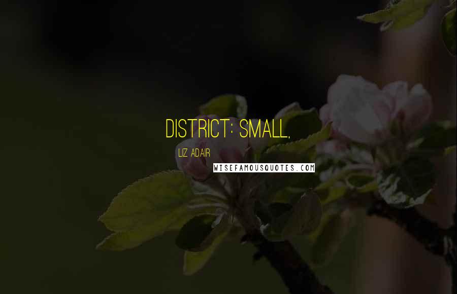 Liz Adair quotes: district: small,
