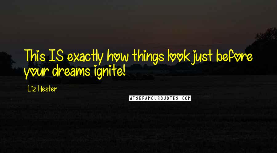 Liz Hester quotes: This IS exactly how things look just before your dreams ignite!