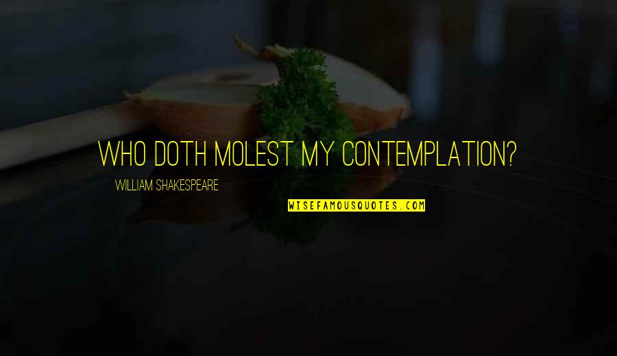 Liz Lochhead Quotes By William Shakespeare: Who doth molest my contemplation? Liz Lochhead Quotes By William Shakespeare: Who doth molest my contemplation?