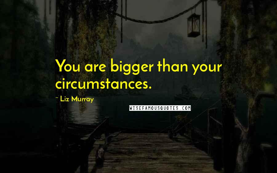 Liz Murray quotes: You are bigger than your circumstances.