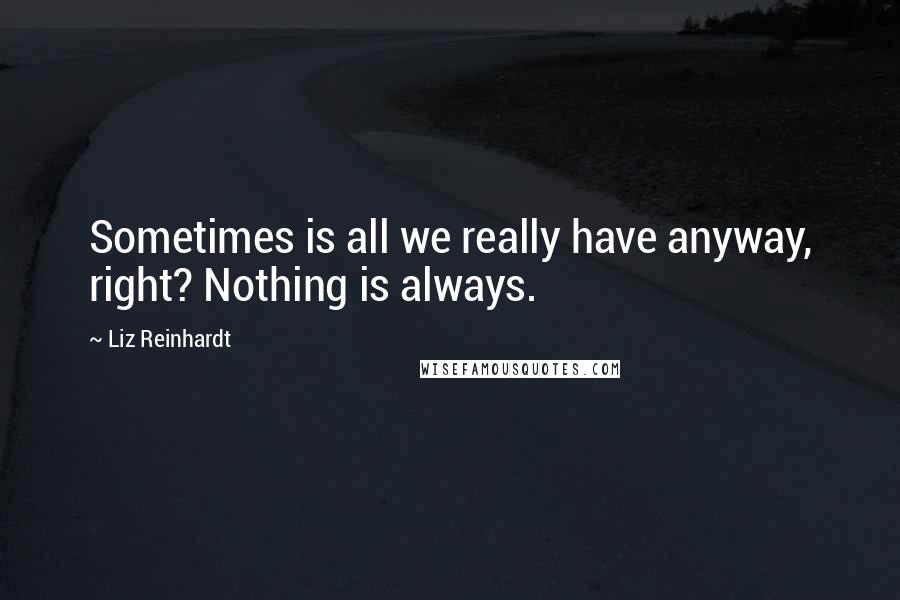 Liz Reinhardt quotes: Sometimes is all we really have anyway, right? Nothing is always.