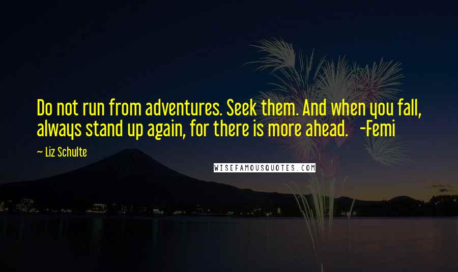 Liz Schulte quotes: Do not run from adventures. Seek them. And when you fall, always stand up again, for there is more ahead. -Femi
