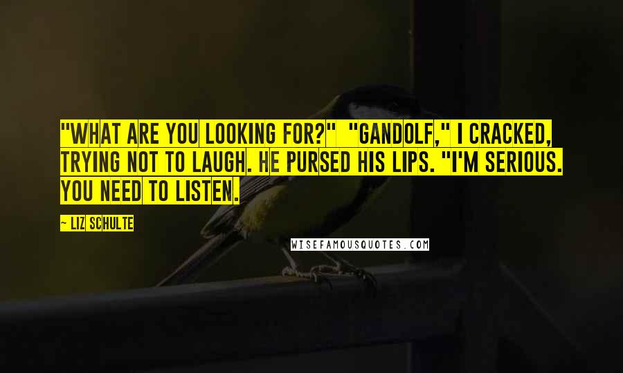 Liz Schulte quotes: "What are you looking for?" "Gandolf," I cracked, trying not to laugh. He pursed his lips. "I'm serious. You need to listen.