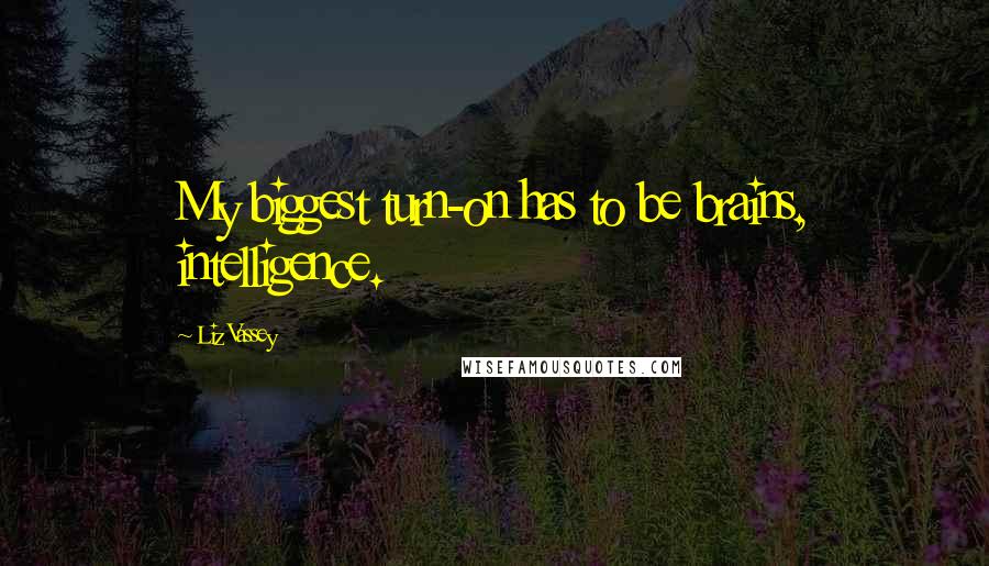 Liz Vassey quotes: My biggest turn-on has to be brains, intelligence.