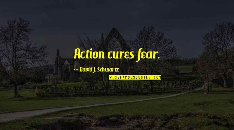 Lizard Lick Funny Quotes By David J. Schwartz: Action cures fear.