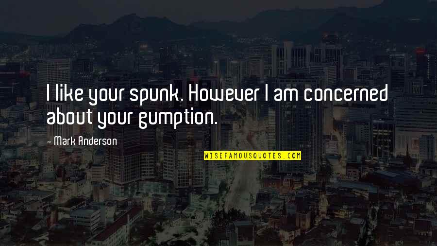 Lizardite Serpentine Quotes By Mark Anderson: I like your spunk. However I am concerned Lizardite Serpentine Quotes By Mark Anderson: I like your spunk. However I am concerned