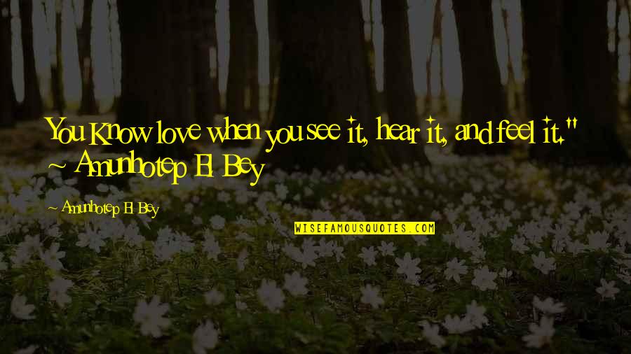 Lizardos Quotes By Amunhotep El Bey: You Know love when you see it, hear