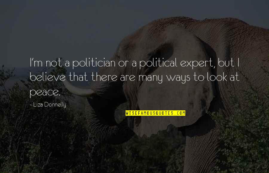 Liza's Quotes By Liza Donnelly: I'm not a politician or a political expert,