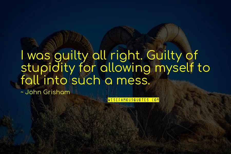 Ljeti Chicken Quotes By John Grisham: I was guilty all right. Guilty of stupidity