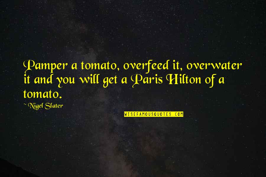 Lk Quotes By Nigel Slater: Pamper a tomato, overfeed it, overwater it and