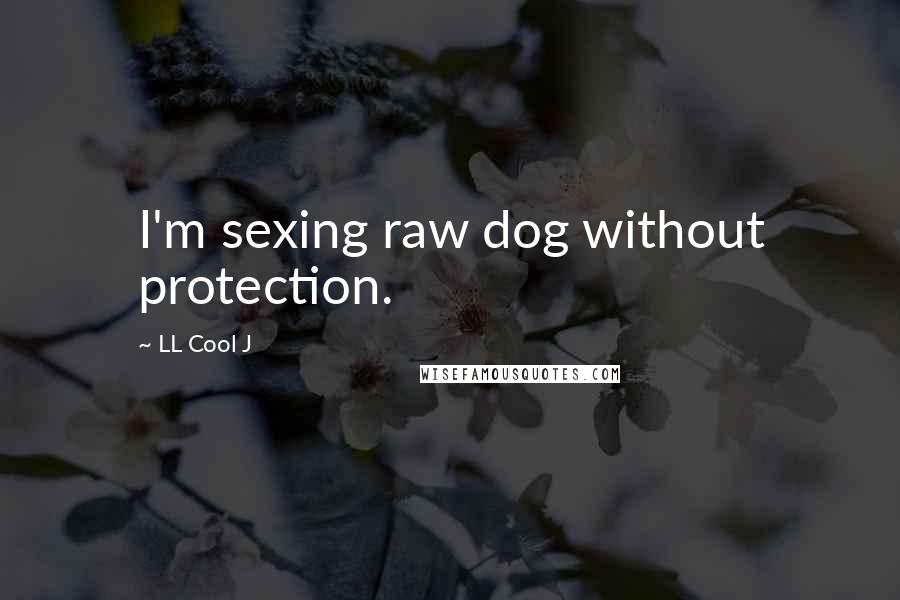 LL Cool J quotes: I'm sexing raw dog without protection.