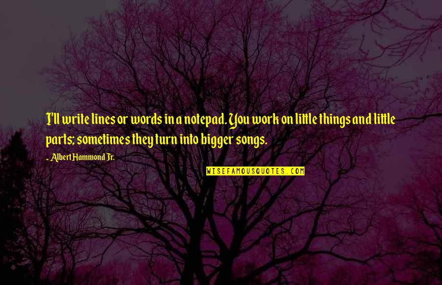 Ll Quotes By Albert Hammond Jr.: I'll write lines or words in a notepad.