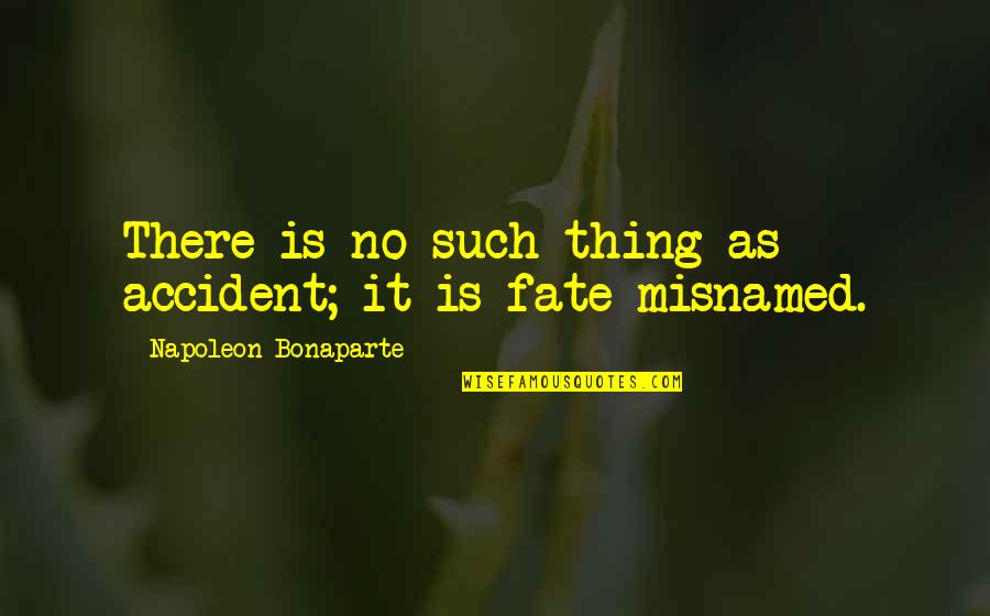 Llamamiento De Samuel Quotes By Napoleon Bonaparte: There is no such thing as accident; it