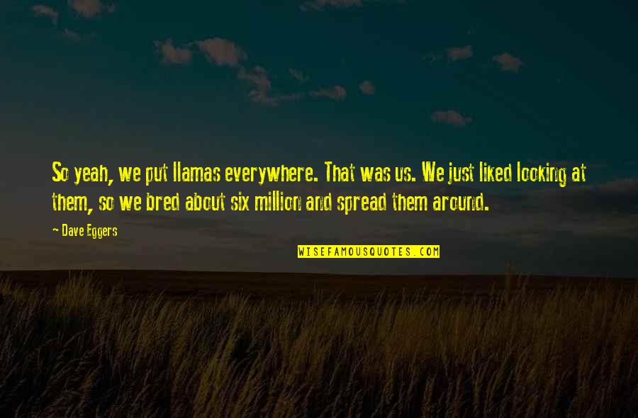 Llamas Quotes By Dave Eggers: So yeah, we put llamas everywhere. That was Llamas Quotes By Dave Eggers: So yeah, we put llamas everywhere. That was