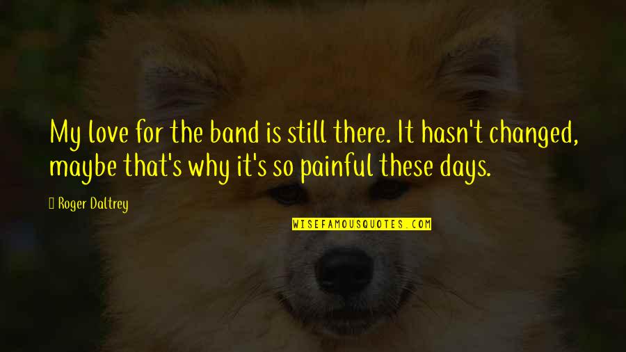 Llanfairpwllgwyngyllgogerychwyrngogogoch Quotes By Roger Daltrey: My love for the band is still there.