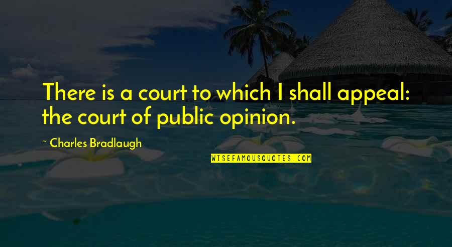 Llantos Y Quotes By Charles Bradlaugh: There is a court to which I shall