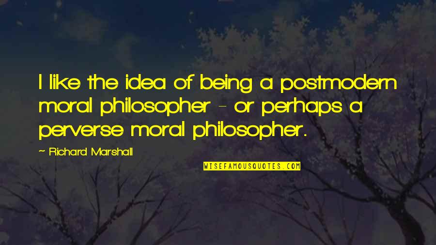 Llanuras Costeras Quotes By Richard Marshall: I like the idea of being a postmodern Llanuras Costeras Quotes By Richard Marshall: I like the idea of being a postmodern