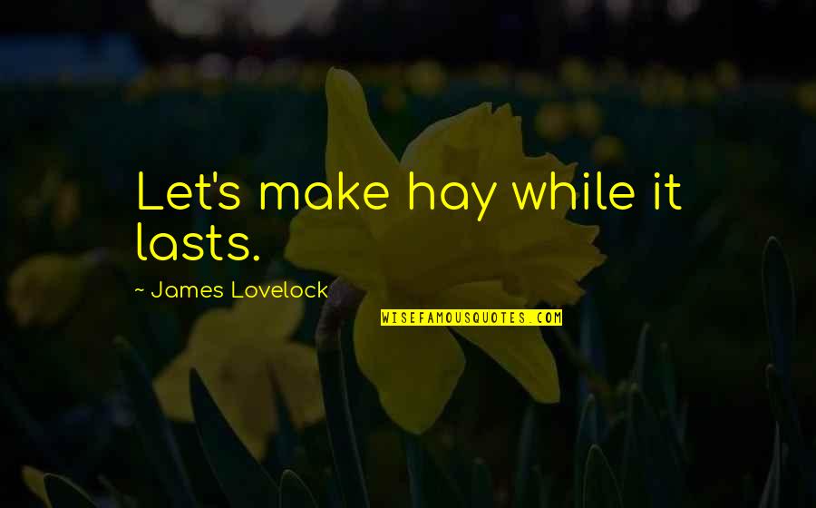 Llap Quotes By James Lovelock: Let's make hay while it lasts.