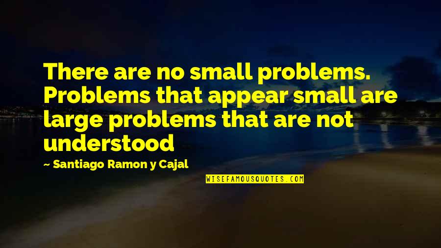 Llenos De Nada Quotes By Santiago Ramon Y Cajal: There are no small problems. Problems that appear