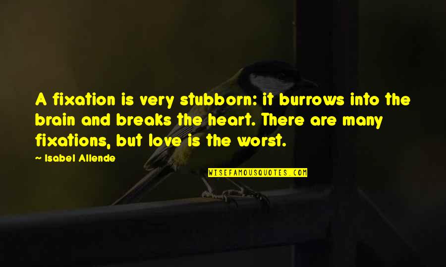 Llevamos Conjugation Quotes By Isabel Allende: A fixation is very stubborn: it burrows into Llevamos Conjugation Quotes By Isabel Allende: A fixation is very stubborn: it burrows into