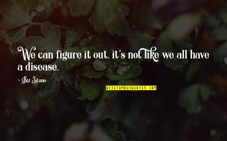 Llevenme Quotes By Biz Stone: We can figure it out, it's not like