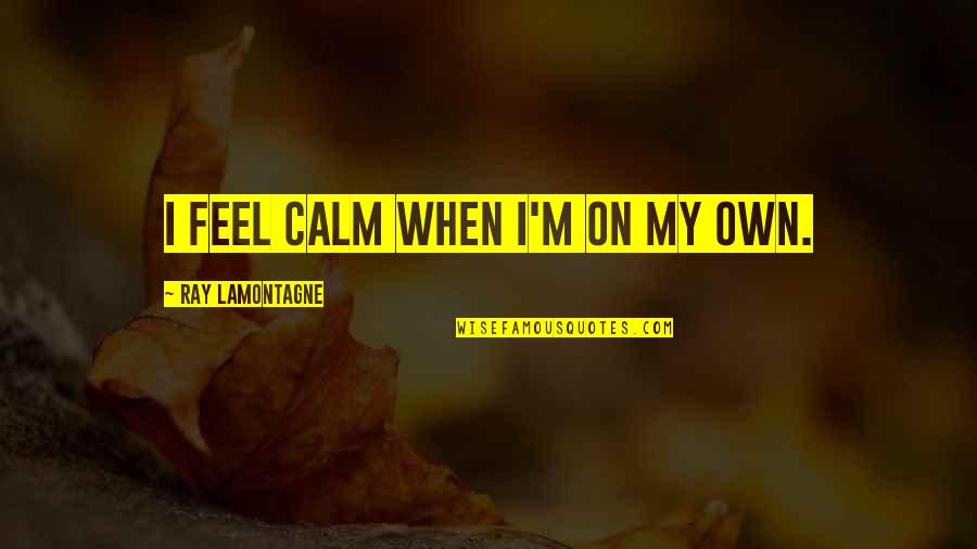 Llorens Garage Quotes By Ray Lamontagne: I feel calm when I'm on my own. Llorens Garage Quotes By Ray Lamontagne: I feel calm when I'm on my own.