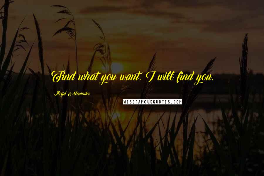 Lloyd Alexander quotes: Find what you want. I will find you.
