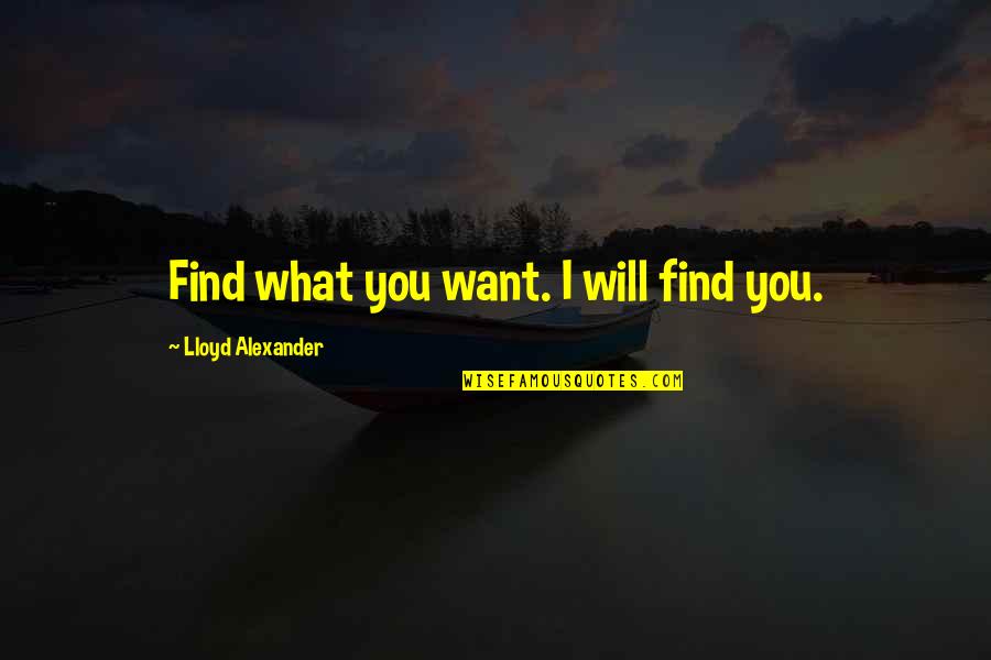 Lloyd Alexander Quotes By Lloyd Alexander: Find what you want. I will find you.