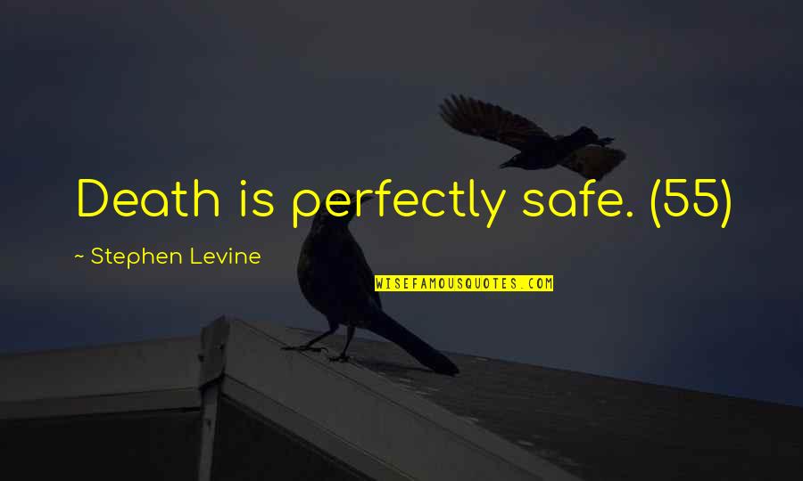 Lloyd Christmas Quotes By Stephen Levine: Death is perfectly safe. (55)