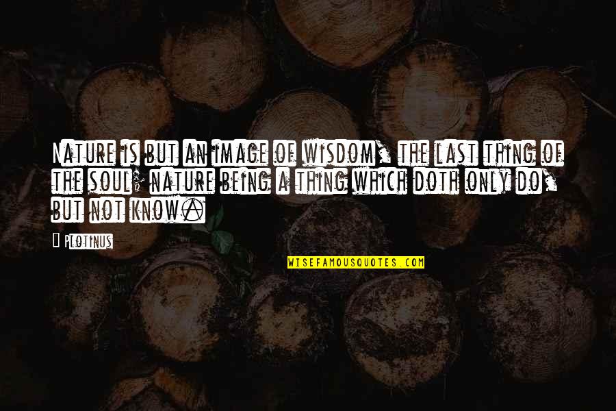 Llumination Quotes By Plotinus: Nature is but an image of wisdom, the