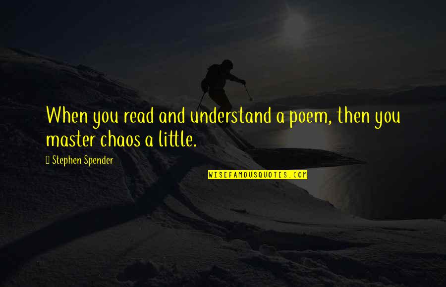Lmfao Song Quotes By Stephen Spender: When you read and understand a poem, then