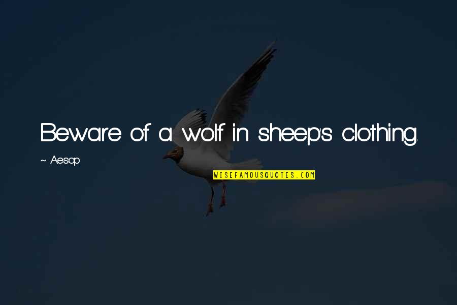 Lnagsl Quotes By Aesop: Beware of a wolf in sheep's clothing.