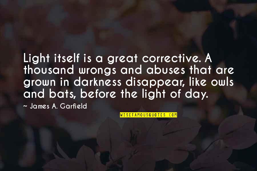 Lo Pan Quotes By James A. Garfield: Light itself is a great corrective. A thousand