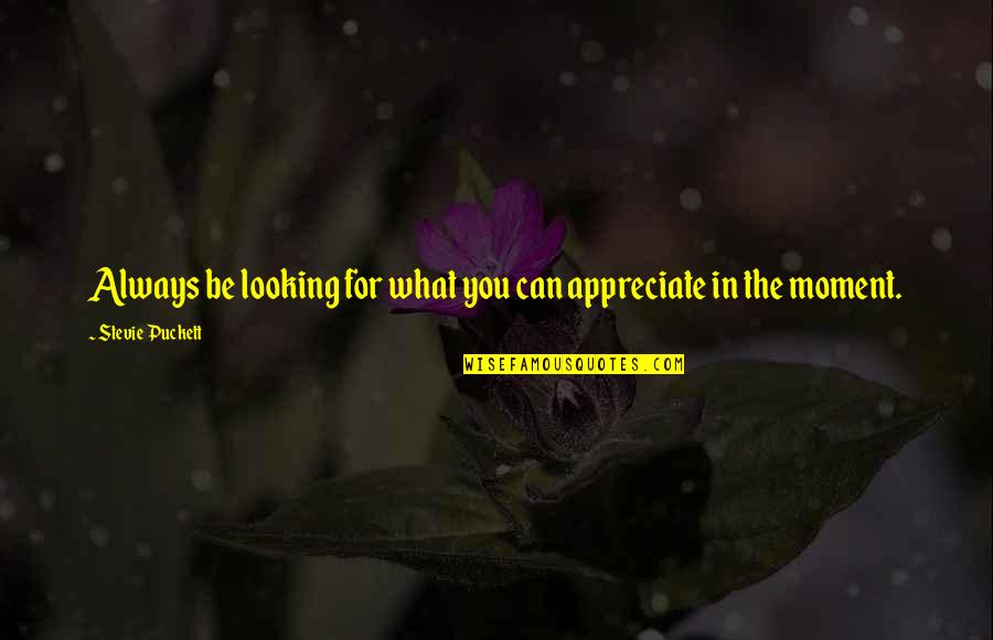 Loa Quotes By Stevie Puckett: Always be looking for what you can appreciate