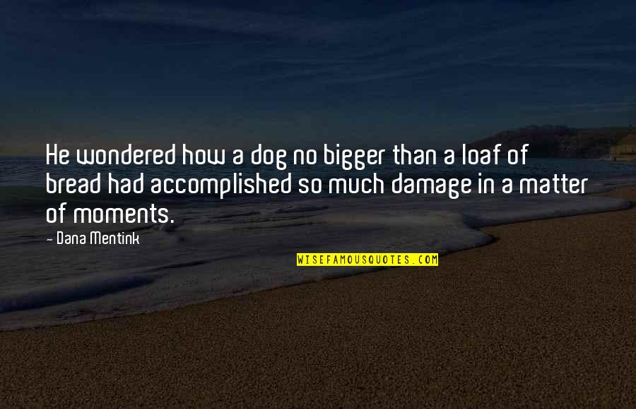 Loaf Bread Quotes By Dana Mentink: He wondered how a dog no bigger than Loaf Bread Quotes By Dana Mentink: He wondered how a dog no bigger than