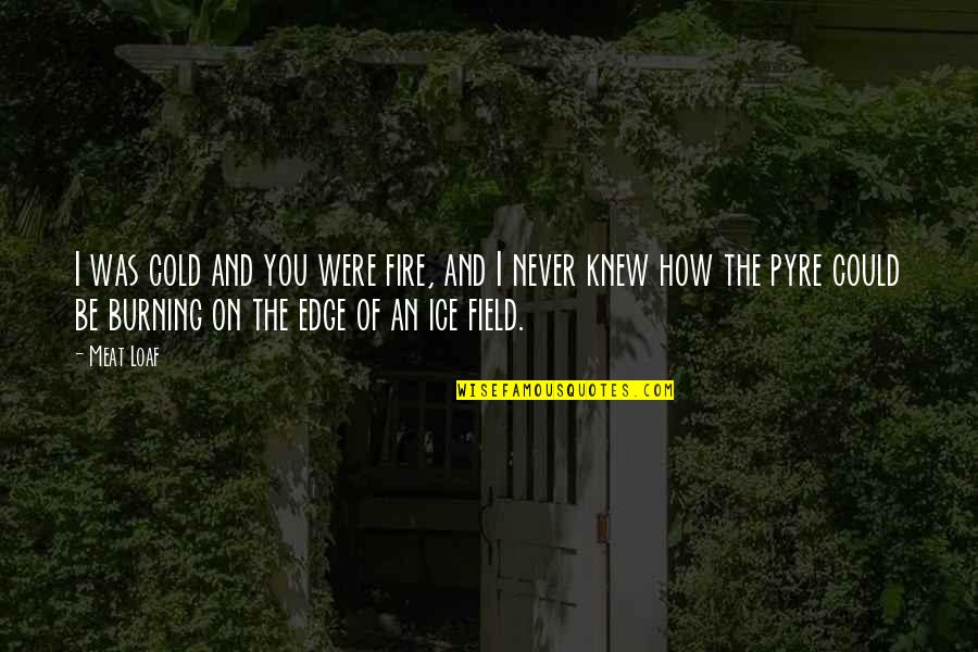 Loaf's Quotes By Meat Loaf: I was cold and you were fire, and Loaf's Quotes By Meat Loaf: I was cold and you were fire, and