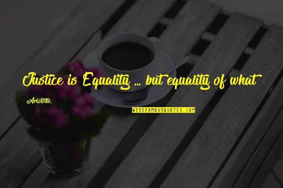 Loamier Quotes By Aristotle.: Justice is Equality ... but equality of what?