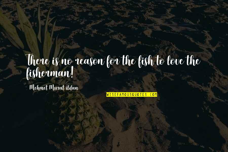 Loan In Tamil Quotes By Mehmet Murat Ildan: There is no reason for the fish to Loan In Tamil Quotes By Mehmet Murat Ildan: There is no reason for the fish to