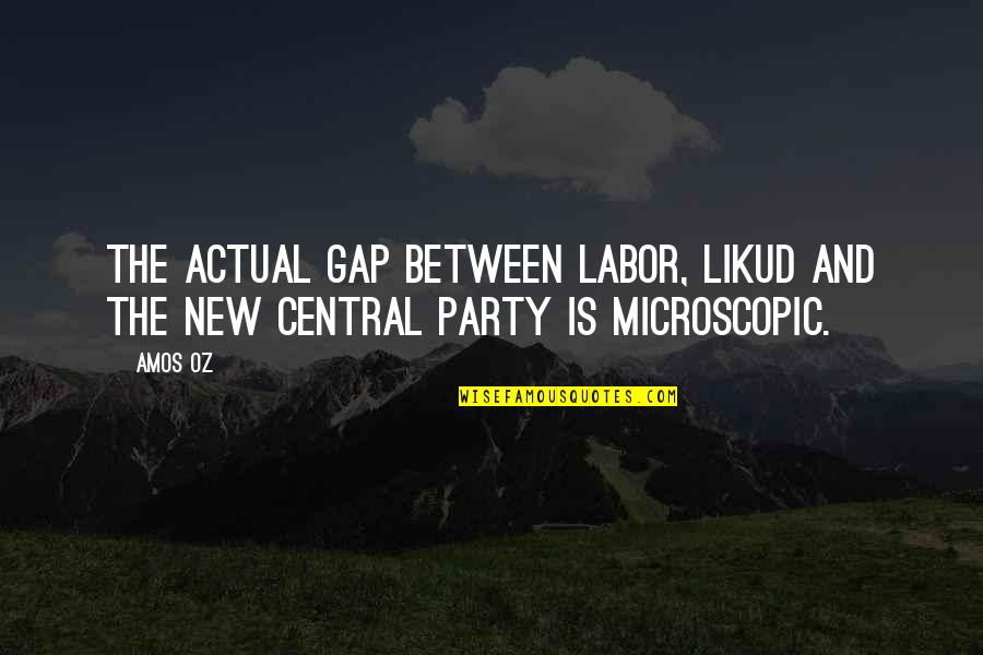 Lobacktraxoffer Quotes By Amos Oz: The actual gap between Labor, Likud and the