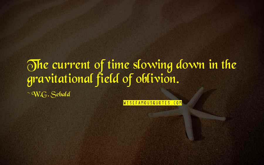 Lobengula Quotes By W.G. Sebald: The current of time slowing down in the