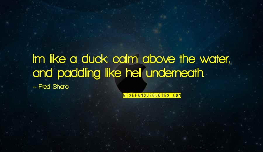 Lobsang's Quotes By Fred Shero: I'm like a duck: calm above the water,