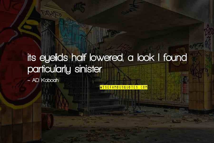 Local Self Government Quotes By A.D. Koboah: its eyelids half lowered, a look I found
