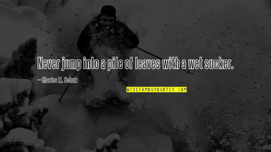 Localitatea Brasov Quotes By Charles M. Schulz: Never jump into a pile of leaves with Localitatea Brasov Quotes By Charles M. Schulz: Never jump into a pile of leaves with