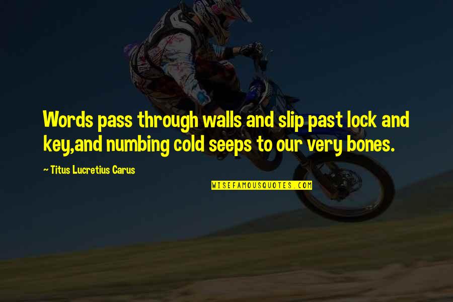 Lock And Key Quotes By Titus Lucretius Carus: Words pass through walls and slip past lock