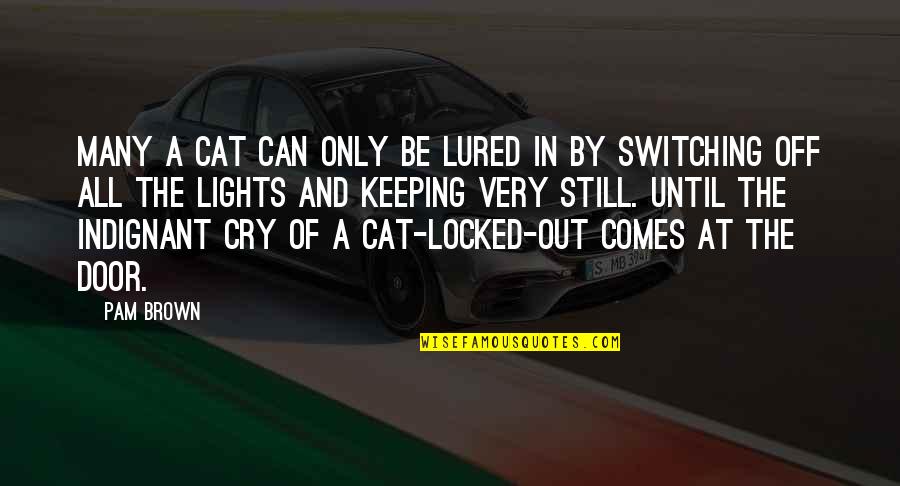 Locked Out Quotes By Pam Brown: Many a cat can only be lured in