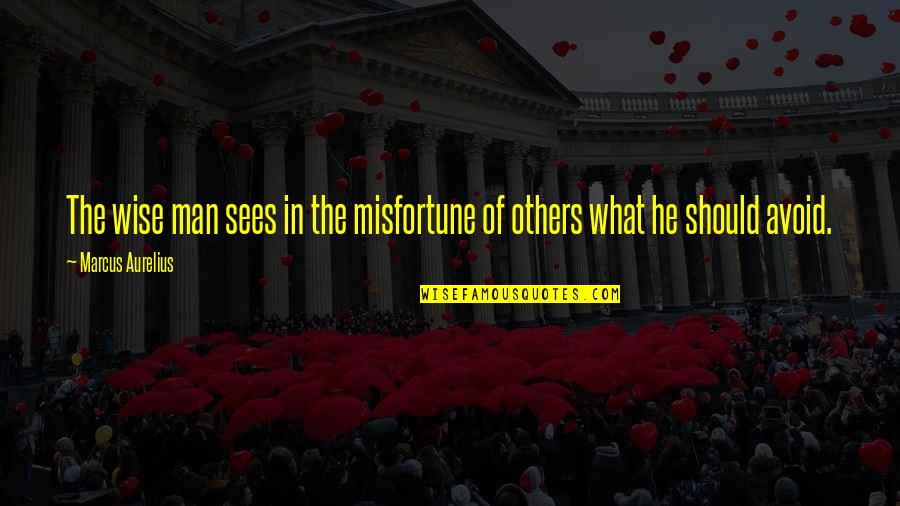 Lockjaw Causes Quotes By Marcus Aurelius: The wise man sees in the misfortune of