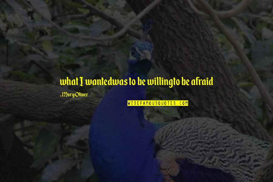 Lodeme Quotes By Mary Oliver: what I wantedwas to be willingto be afraid