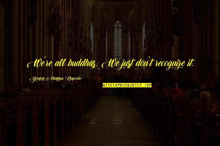 Lodeme Quotes By Yongey Mingyur Rinpoche: We're all buddhas. We just don't recognize it. Lodeme Quotes By Yongey Mingyur Rinpoche: We're all buddhas. We just don't recognize it.