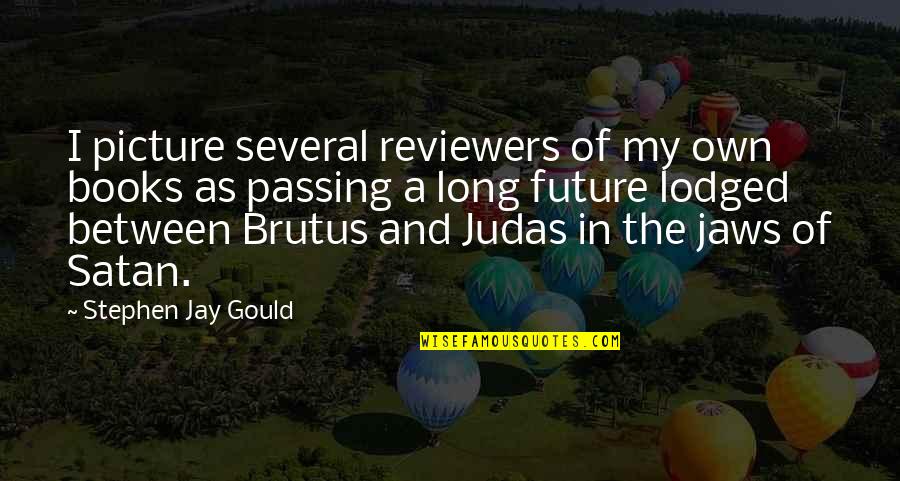 Lodged Quotes By Stephen Jay Gould: I picture several reviewers of my own books